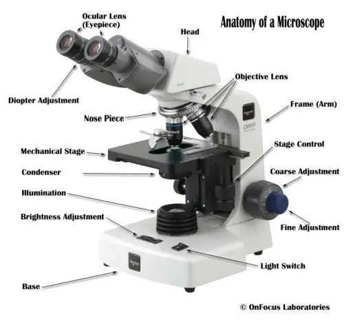 Compound light microscope parts